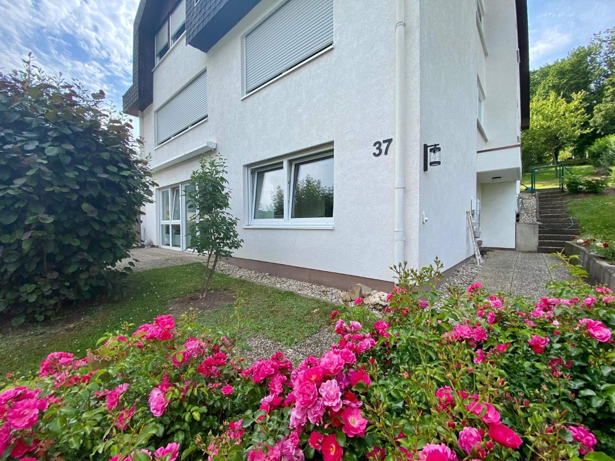 Neu: Ferienwohnung Zum Nussbaum - Landhausstil & Moseltalblick ทราเบิน-ทราร์บาค ภายนอก รูปภาพ